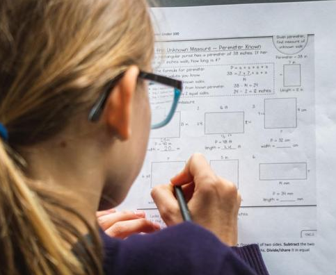 MAP科学考试主要考什么?MAP评估指标详解
