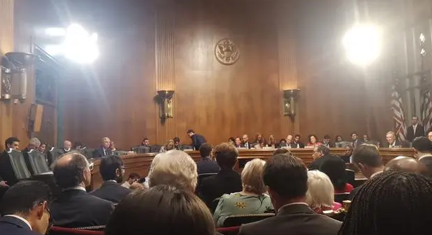 被学校suspend怎么申诉?留学生必看!