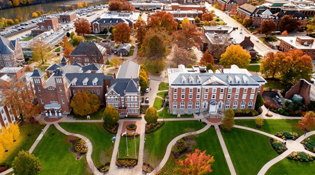 国外大学作业形式有哪些?