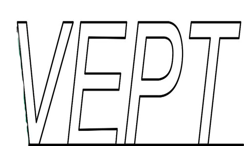 VEPT考试辅导介绍与考试流程攻略分享