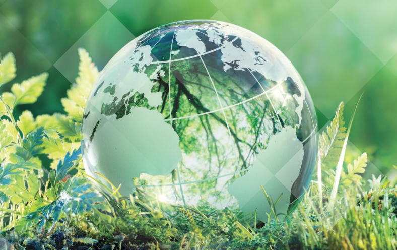 AP环境科学课程内容详述