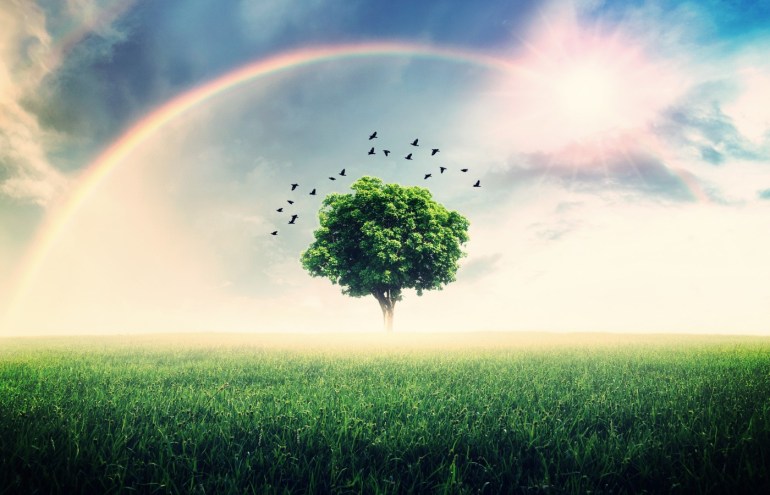 美国波士顿大学Earth & Environmental Sciences BA地球与环境科学辅导