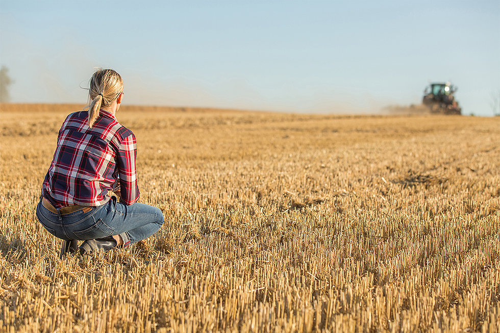 美国明尼苏达大学Agricultural Communication and Marketing农业传播与营销辅导