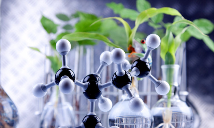 美国德克萨斯大学达拉斯分校Biochemistry生物化学辅导