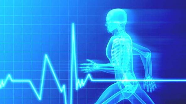 美国密歇根安娜堡分校Applied Exercise Science应用运动科学辅导