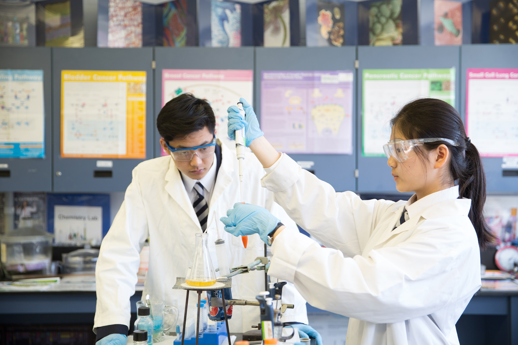 美国医学专业预科课程的学习形式结构