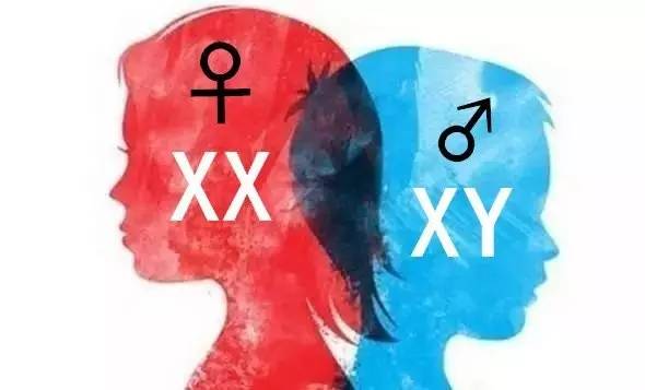 史密斯学院性别文化专业基础概念