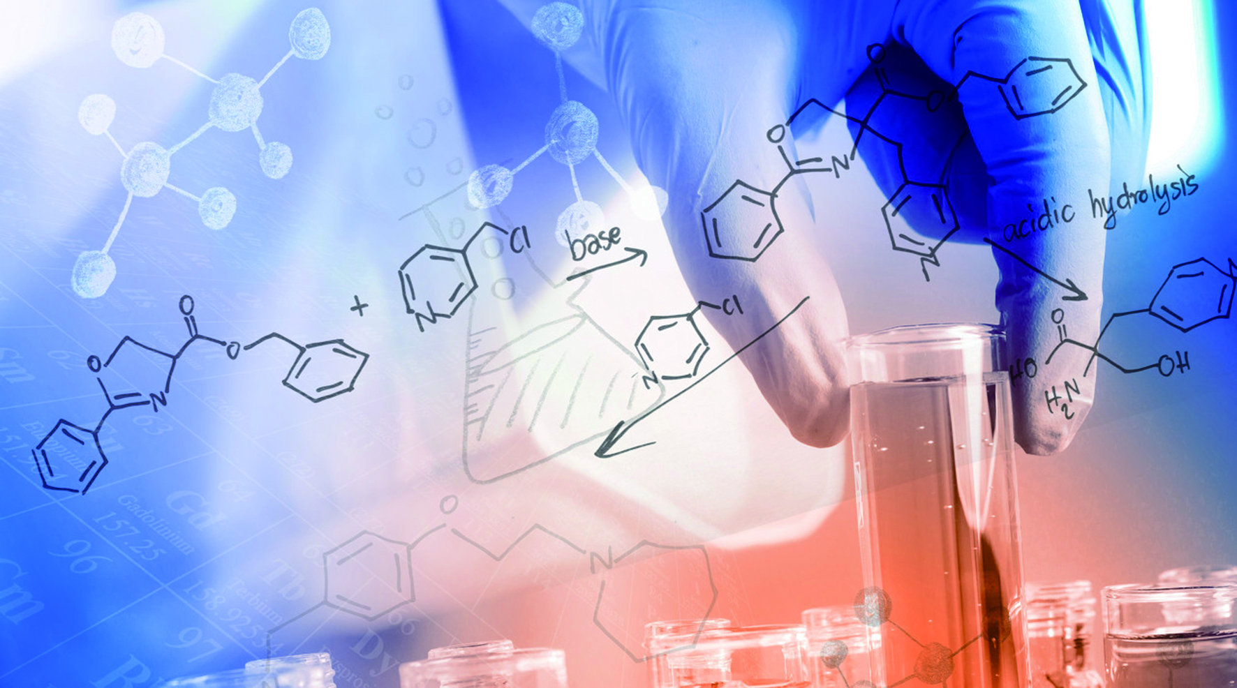埃默里大学生物医学专业课程中简单知识