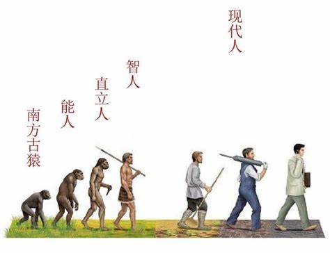 宾夕法尼亚大学人类学课程复习要领概述