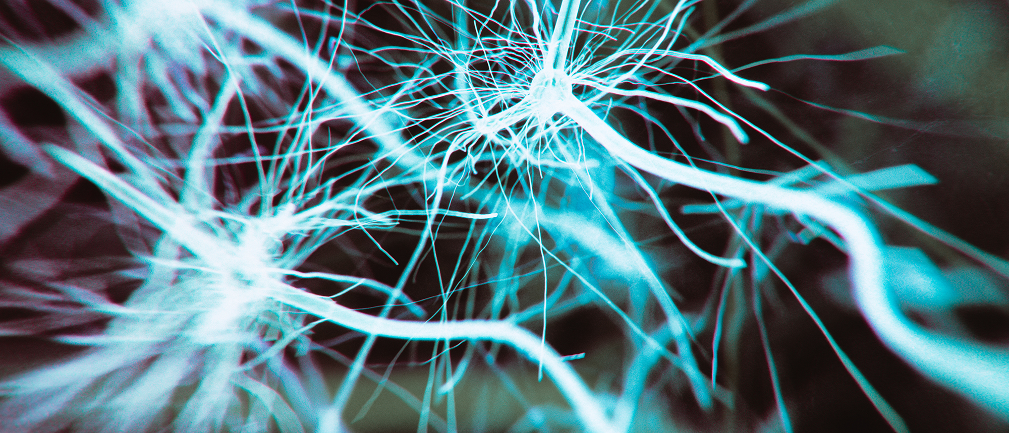 BC波士顿学院Neuroscience专业的考前辅导机构