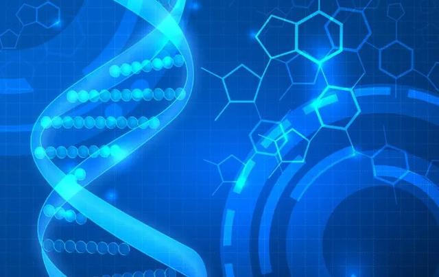 美国高中生物课程辅导补课机构