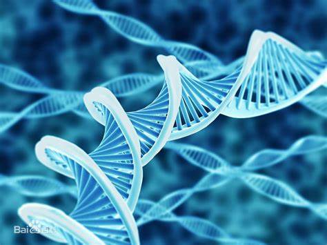 Wake Forest University大学生物学和心理学主要的考前理论知识梳理