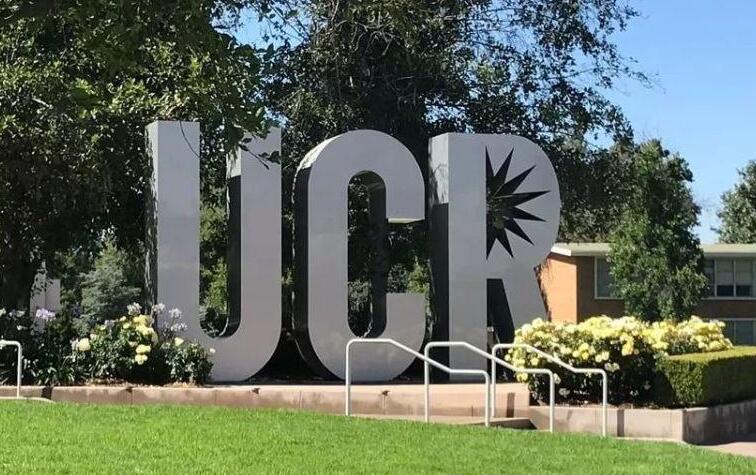 加州大学河滨分校University of California Riverside课业辅导