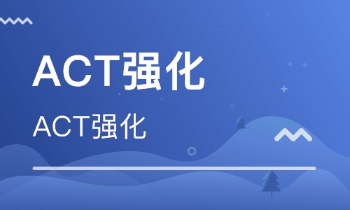 American College Test，act一对一网课