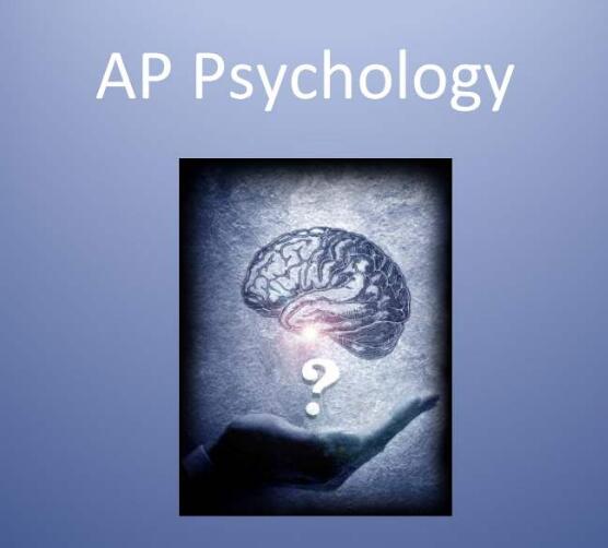AP心理学APPsychology一对一辅导