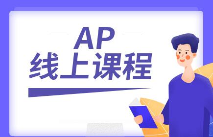 AP微观经济学APMicroeconomics一对一辅导