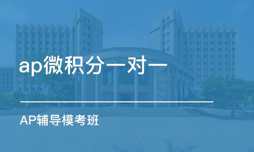 ap一对一培训班