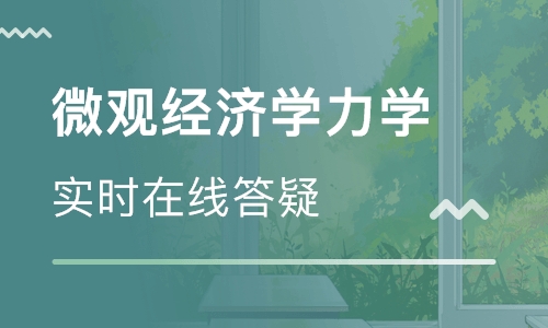 ap微观经济学一对一
