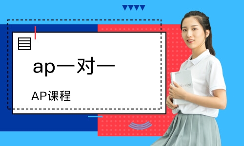ap课一对一价格多少