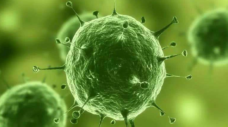 AP生物备考教材有哪些？