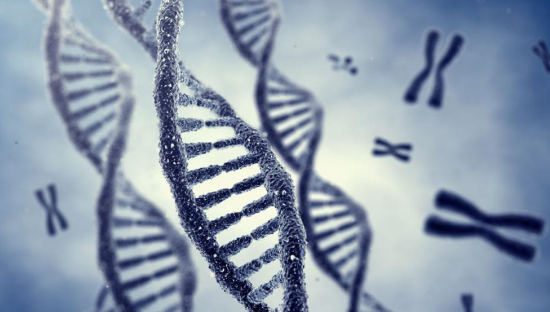 AP生物作业辅导：DNA和RNA
