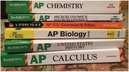 ap课程辅导书Advanced Placement Program