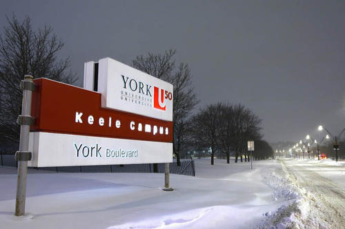 University of York Foundation Business Economic约克大学商业经济辅导