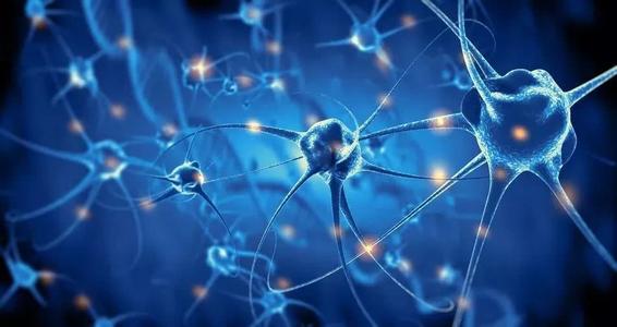 美国加州大学生物细胞学作业课程在线辅导