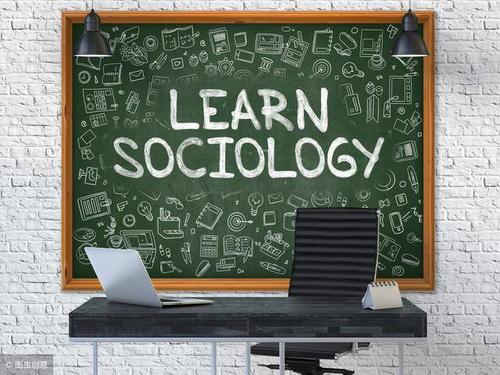 美国本科社会学作业考试辅导