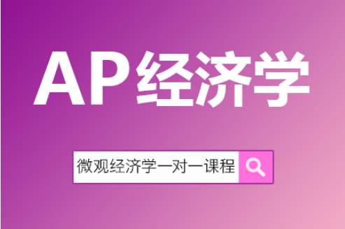 ap经济学一对一补习
