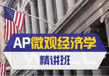 ap宏观经济微观经济学一对一辅导