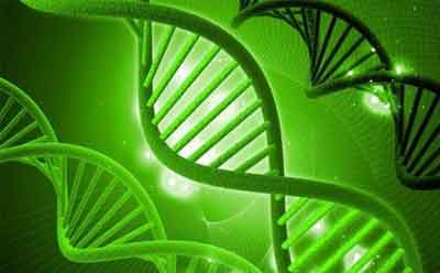 美国本科生物系Biology：生物细胞学