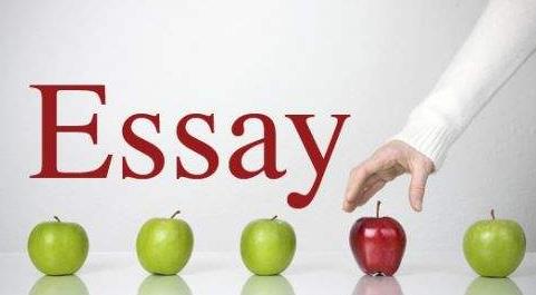 美国留学：哪些学生适合学习市场营销专业？