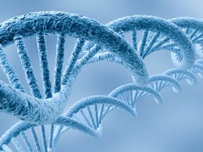 美国研究生Biological辅导及专业介绍