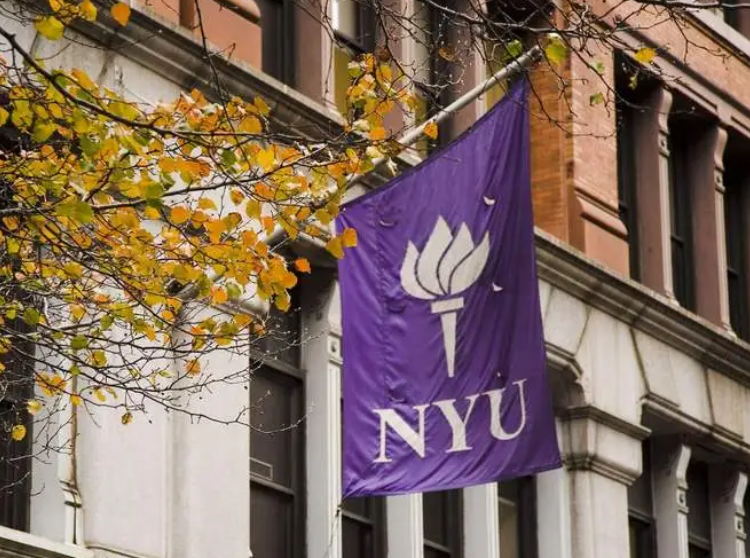 美国纽约大学本科cas经济学专业核心课程预习