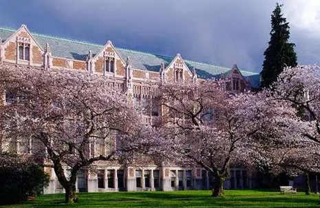 美国华盛顿大学学术论文申诉要点指南!
